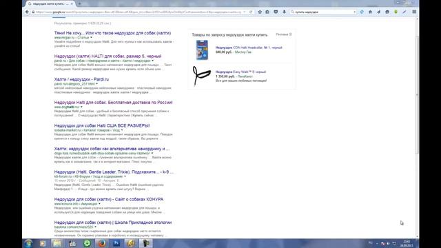 Намордник тренировочный (недоуздок) Trixie