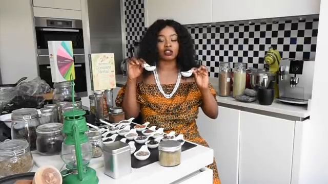 A BEGINNERS GUIDE TO USING SPICES EP1- Ndudu by Fafa смотреть онлайн