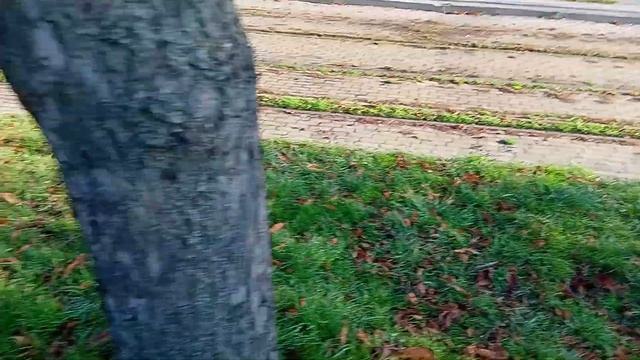 Трамвай 71-619 н071 Привокзальная площадь в Ростове-на-Дону 10 Ноября 2023 года смотреть онлайн