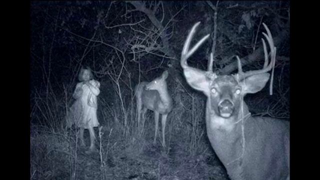 Этот звук был найден на старой касете 1989 года смотреть онлайн