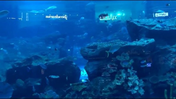 Обзор отеля Flora Al Barsha 4*|Dubai