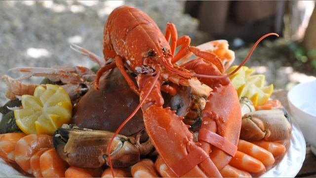 Почему арабы и евреи не едят свинину смотреть онлайн