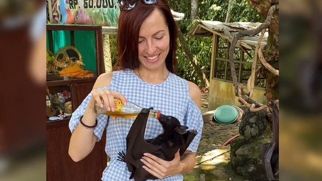 Огромные летучие мыши