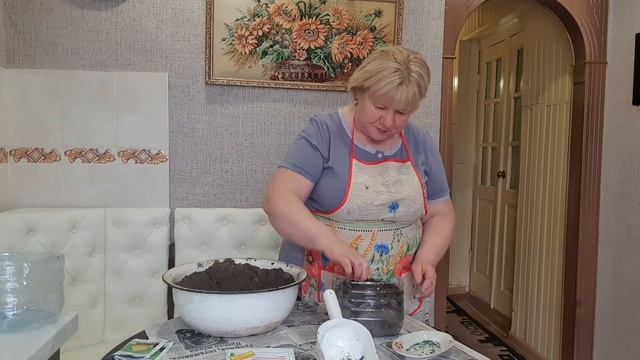 Посадка семян лука Эксибишн на рассаду. смотреть онлайн