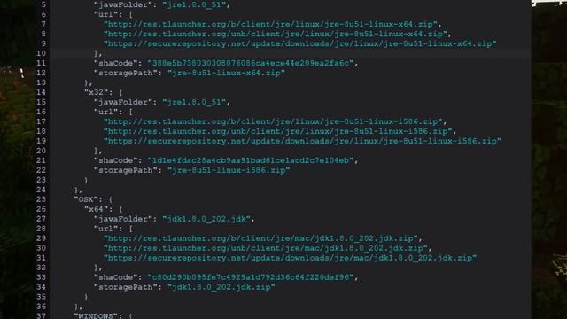 I Exposed This SHADY Minecraft Client, And They Responded…