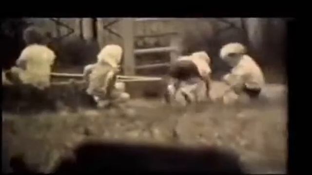 Припять 1986 о животных смотреть онлайн