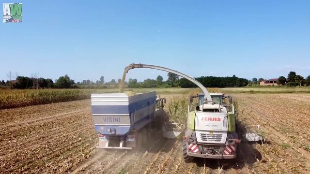 Silage 2021 / Trinciatura mais 2021 / The big silo in Italy / Claas Jaguar 980 смотреть онлайн
