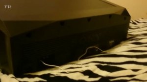 Полный озор колонки SONY GTK X1BT