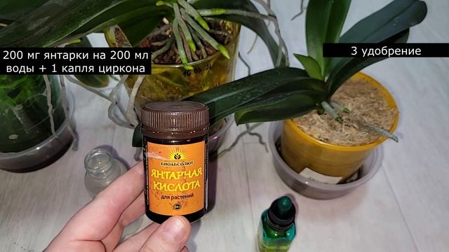 ВНЕСИ в ОРХИДЕЮ и корни полезут со всех щелей, рабочий способ проверенный временем смотреть онлайн