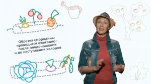 Удача на даче 10 Калий хлористый и смородина