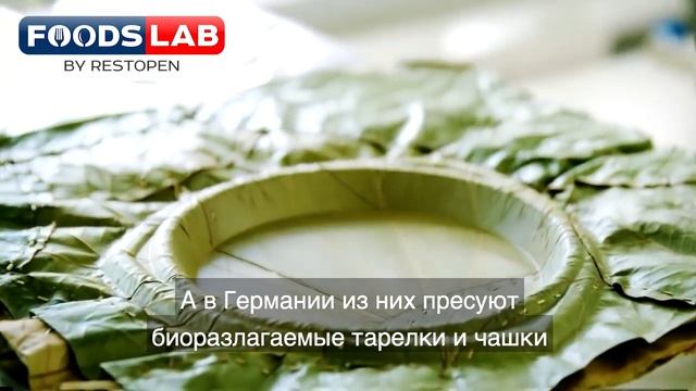 Посуда из листьев