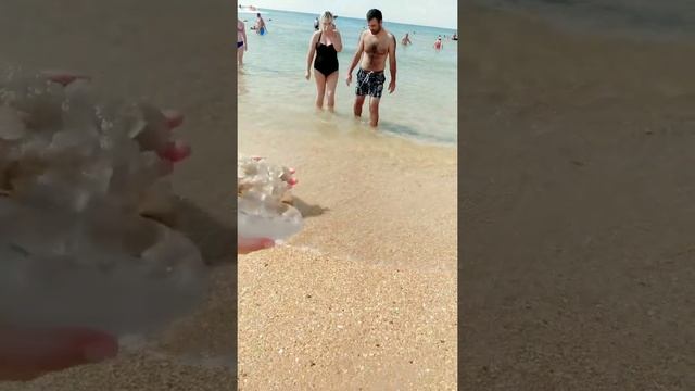 Погода и море Витязево/Анапа начало сентября ? смотреть онлайн