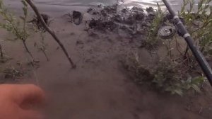 Рыбалка на иртыше с ночёвкой с друзьями!) ??#иртыш #лещ #рыбалка павлодар #fish