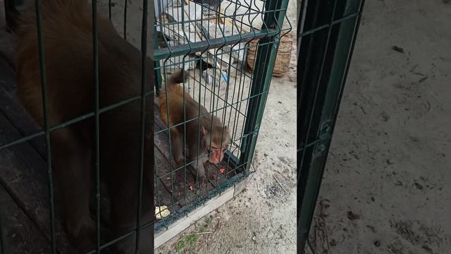 Красивая попа🤣👍🐒❤