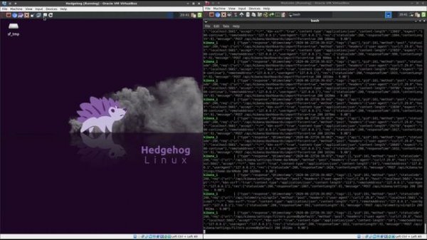 Malcolm and Hedgehog Linux: Virtual Machine Setup