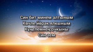 Радиф Зарипов — Син аем