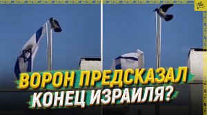 Ворон показал конец Израиля?
