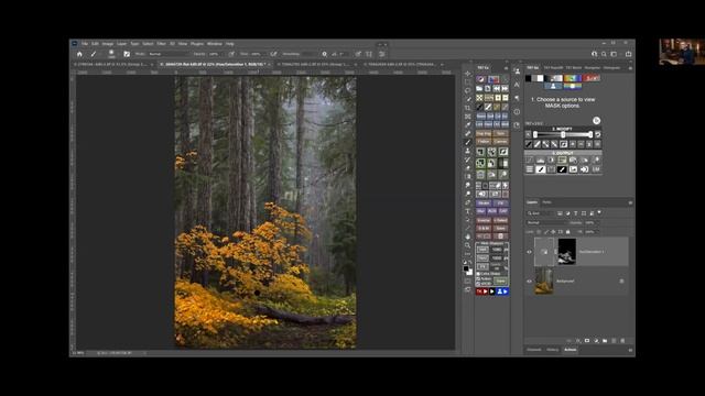 RPS Digital Imaging - An Introduction to the Power of Luminosity Masks with Sean Bagshaw смотреть онлайн
