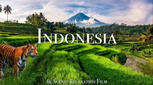 Индонезия - Живописный Фильм для Релаксации с Успокаивающей Музыкой