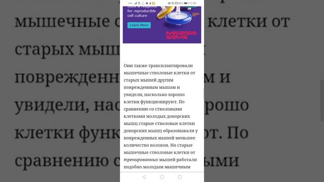 Упражнения во время карантина короновируса смотреть онлайн