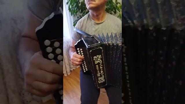 Лён русская народная песня. Исполнение на гармони. смотреть онлайн