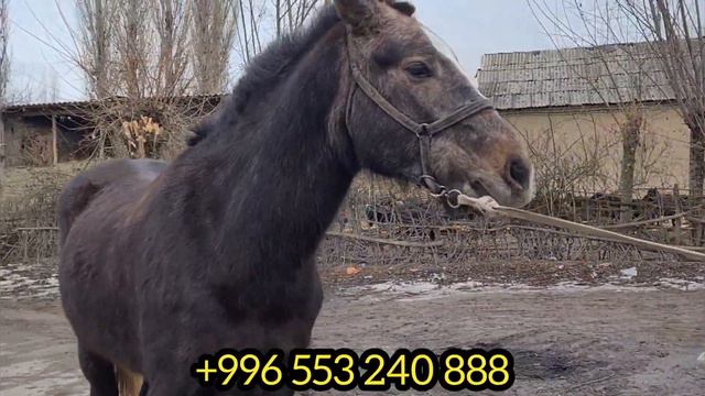 9 февраля 2022 г. смотреть онлайн