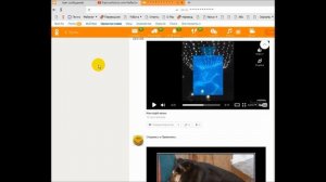 Отключить ВИДЕОЗВОНКИ на сайте ОДНОКЛАССНИКИ.ru