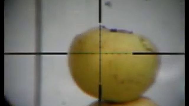 Альтернативные огородные пострелушки.flv смотреть онлайн