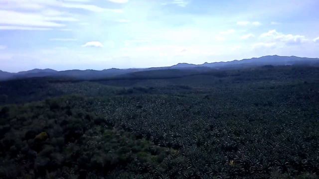 test terbang drone sg908 max смотреть онлайн