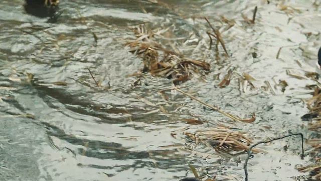 Зимний спиннинг на малой реке. смотреть онлайн