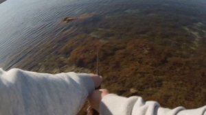 Сарган,Крым,Рокфишинг-ловля на пилькер