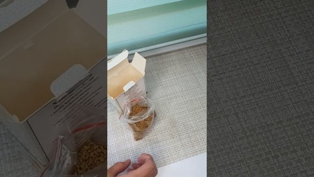 Обзор полезных свойств #хильбы. Как применять и заваривать семена. #исламскаямедицина,#ислам смотреть онлайн