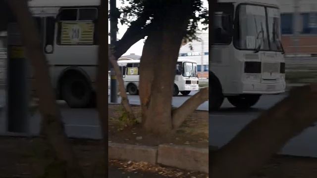 автобус паз смотреть онлайн