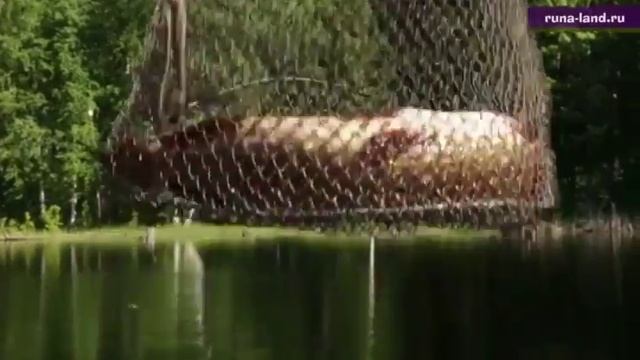 Рыбалка летом в Карелии смотреть онлайн