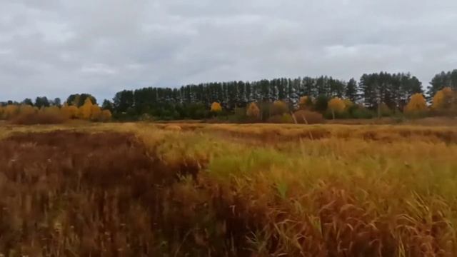 #1 Рыбалка на реке🔥Ловля на спиннинг!Подписывайтесь на канал✍️ смотреть онлайн