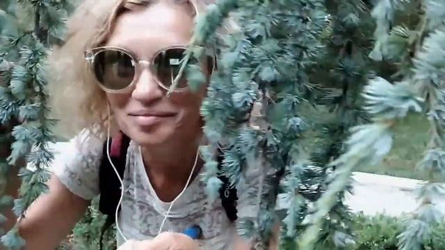 Вот он какой Кедр Атласский. Массандровский парк.Ялта. Крым. смотреть онлайн