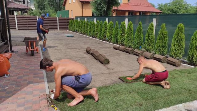 укладка рулонного газона и сетка от кротов смотреть онлайн