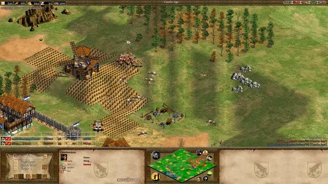 One of the BEST AoE2 Classic Games! 2011 Expert Game! смотреть онлайн