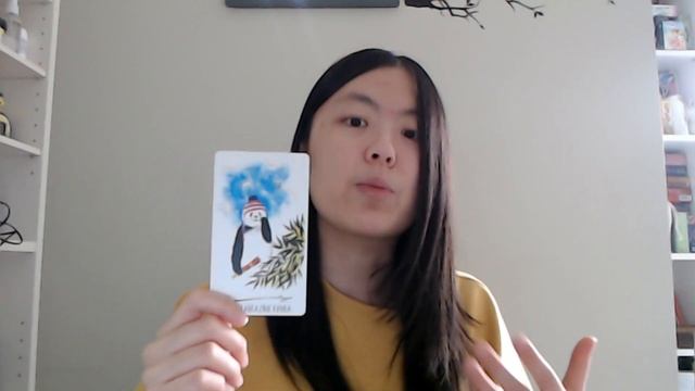 Wild Cards from Way of the Panda | What They Mean & How To Use Them смотреть онлайн