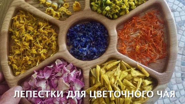 Как я собираю травы и готовлю чайный сбор смотреть онлайн