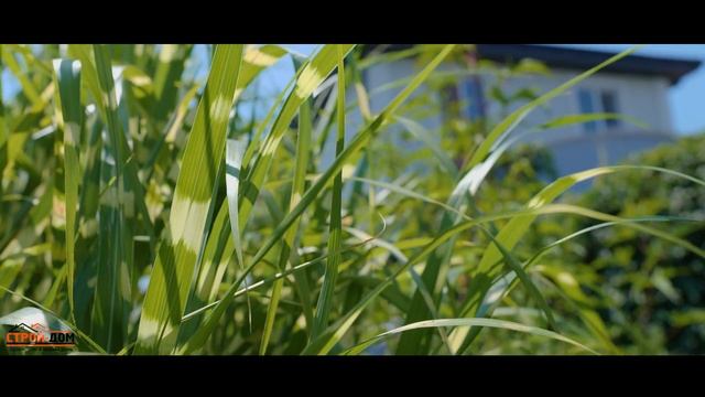 Зелёный дом или как облагородить свой участок. смотреть онлайн