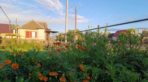 ПЕРЕЕХАЛИ В РОССИЮ!СПОРИМ КАК БУДЕТ ЛУЧШЕ!КРАСИМ СТОЛБЫ, СТРОИМ ЗАБОР!ПЛАНЫ НА БУДУЩЕЕ!