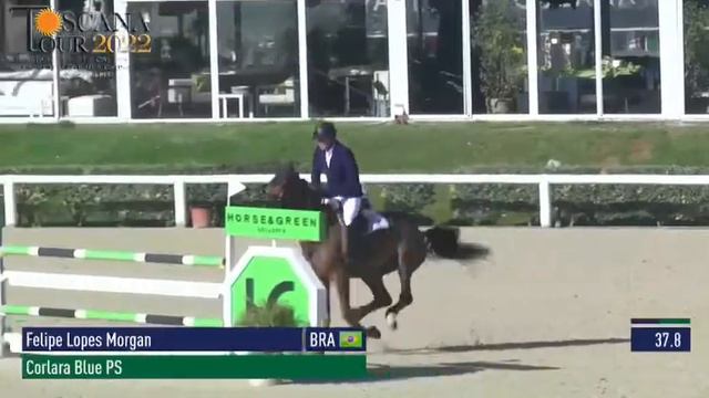 Coralara, mare 2016 by Cornet de Lys x Chacco Blue смотреть онлайн