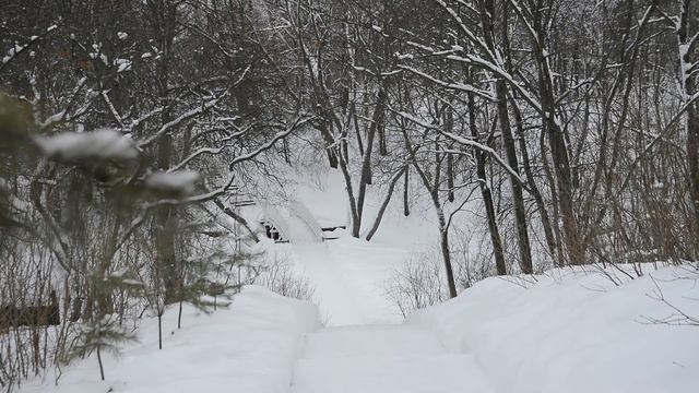 Снежный день в «Тарханах» смотреть онлайн