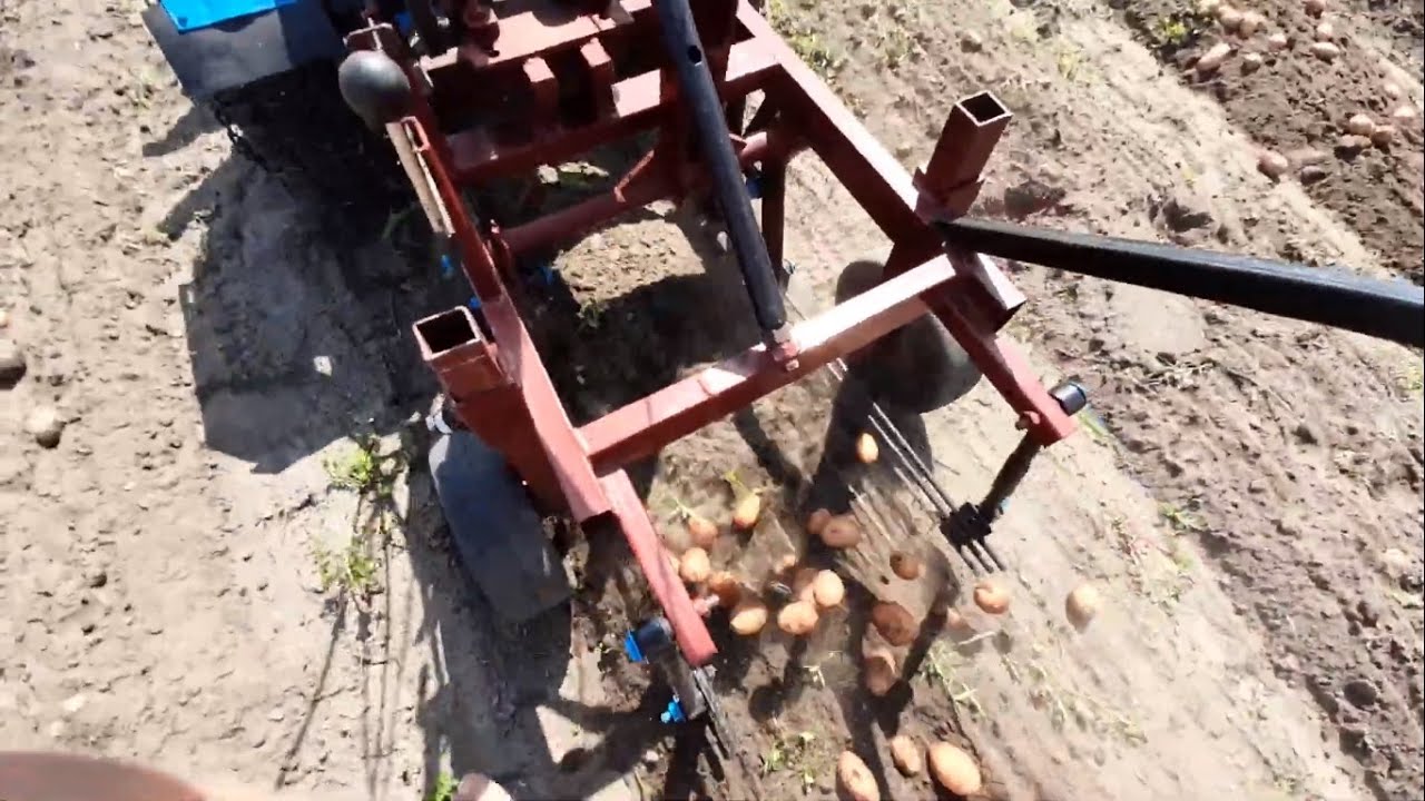 Уборка картофеля ВИБРАЦИОННОЙ КАРТОФЕЛЕКОПАЛКОЙ по влажному грунту, 2021 год
