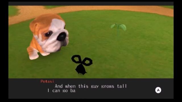THE Dog Island Review (Wii) - DanDan Gaming смотреть онлайн