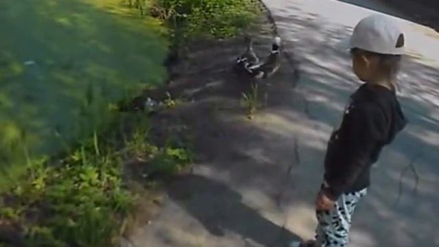 Природа Подмосковья