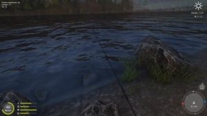 Русская рыбалка 4. Ловим на матчи.