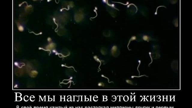 13 советов как продлить жизнь смотреть онлайн
