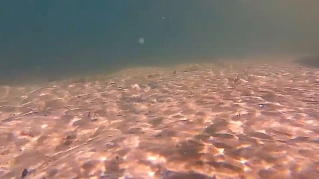 Песчаное дно